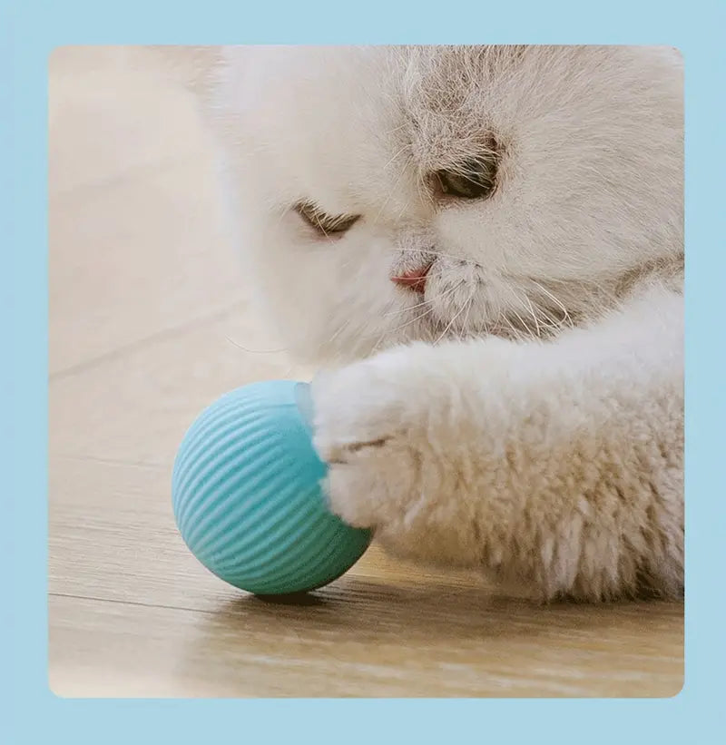 Juguete Inteligente Para Gatos-Flash Ball